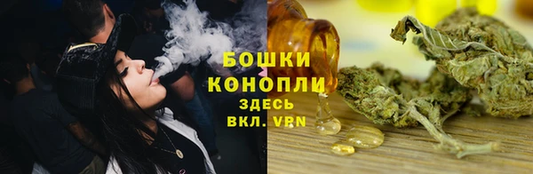 мяу мяу мука Баксан