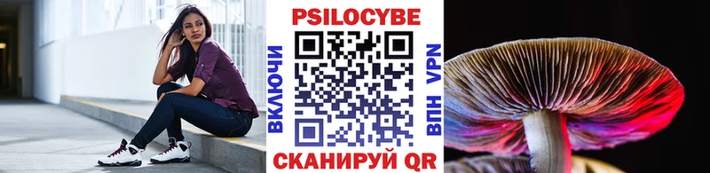 купить  цена  Гай  Галлюциногенные грибы мухоморы 